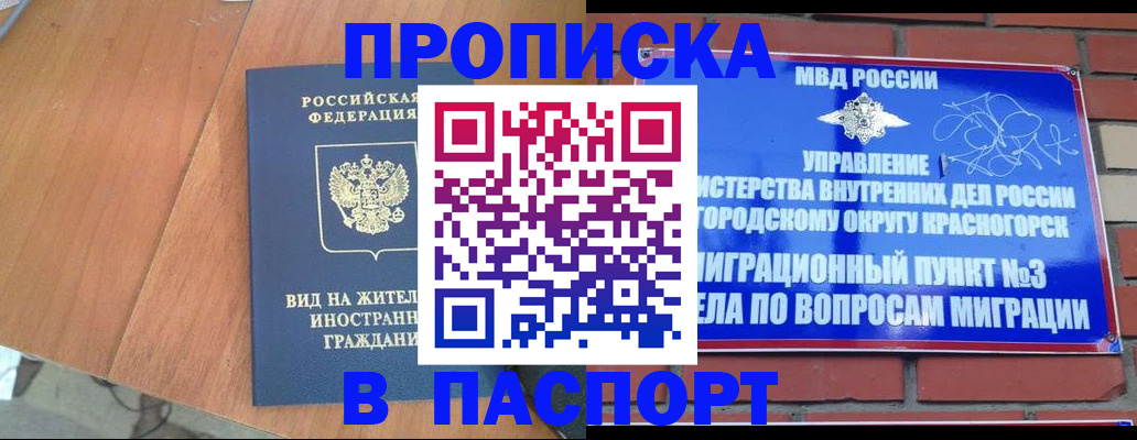 найти адрес прописки в Камчатском крае